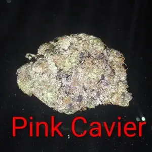Pink Cavier