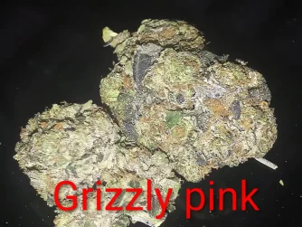 Grizzly Pink