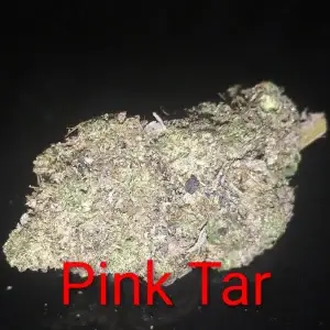 Pink Tar