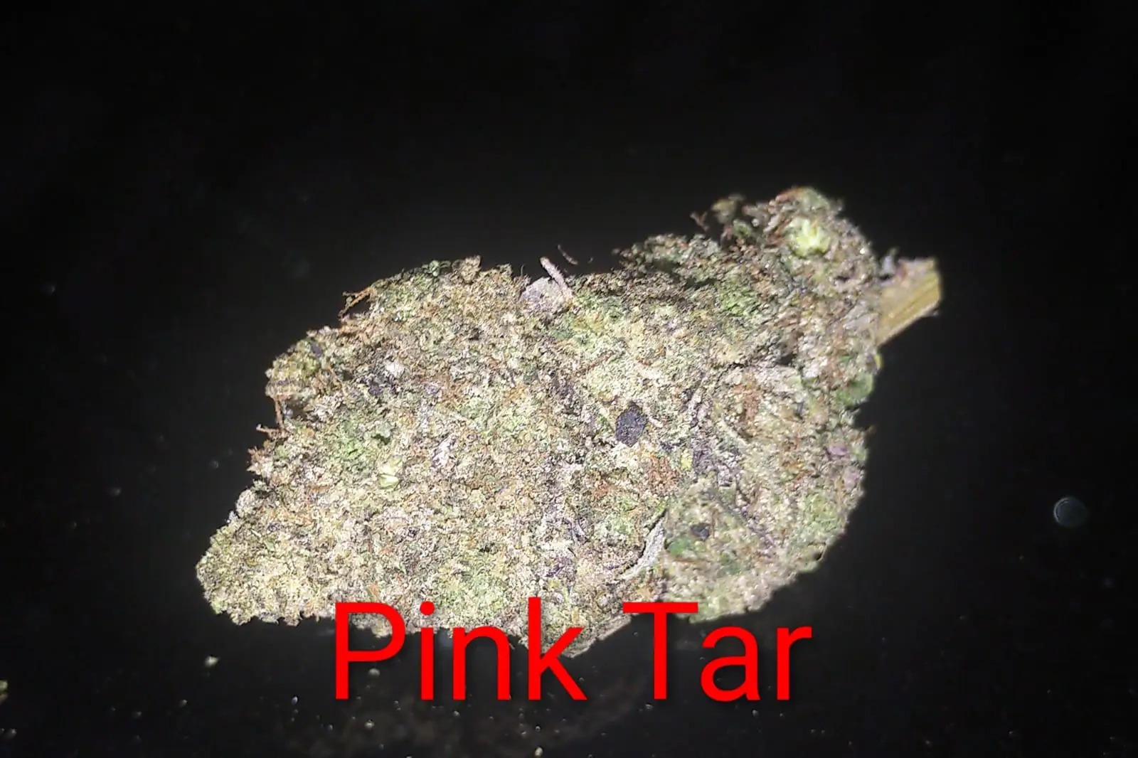 Pink Tar