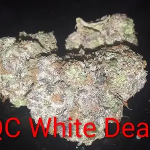 Q C White Death