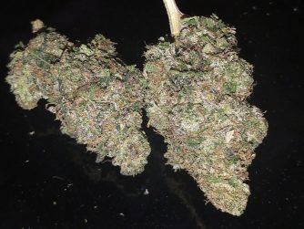 Pink Bubba
