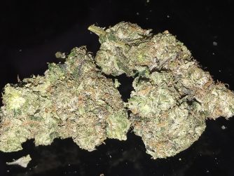 Pink Gas